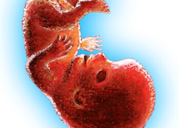 L’avortement érigé en « valeur » de leur république