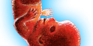 L’avortement érigé en « valeur » de leur république