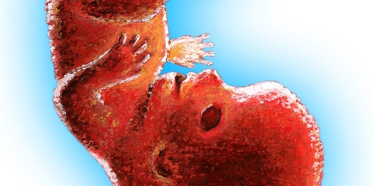 L’avortement érigé en « valeur » de leur république