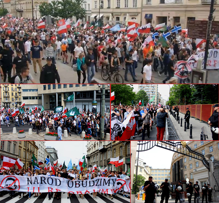 manifestation-Mouvement national-RN-Ruch Narodowy-28062014 (A)