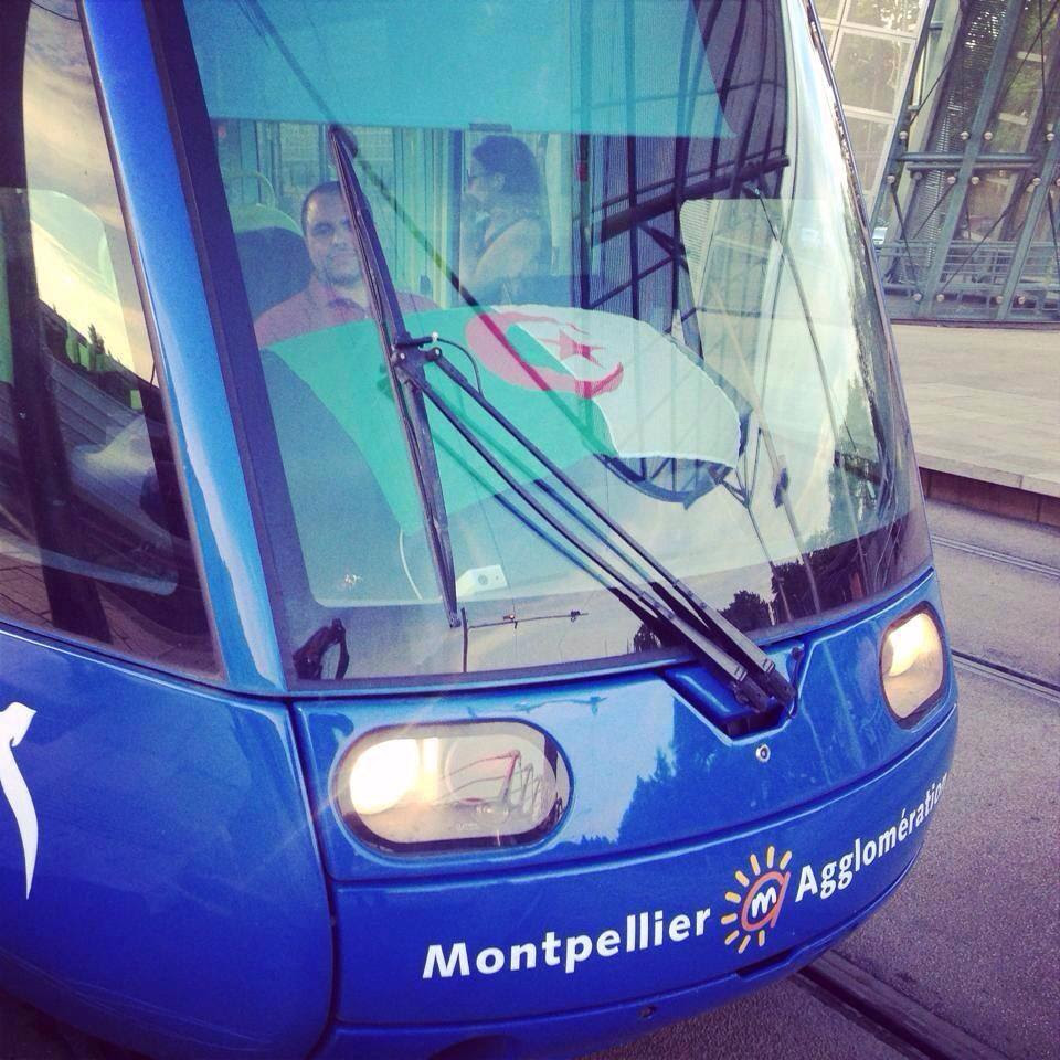 racaille_algerienne_montpellier_drapeau_transports_publics