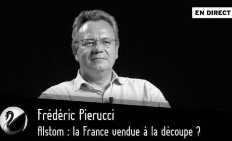 Alstom : la France vendue à la découpe ? – Frédéric Pierucci (vidéo)