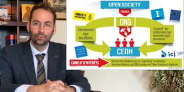 ONG / CEDH / Conflits d&rsquo;intérêts : 6 minutes pour comprendre
