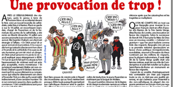 Incendie de la cathédrale de Nantes : une provocation de trop !