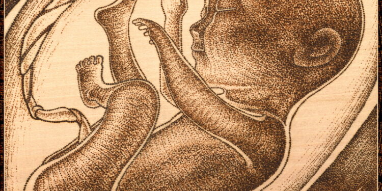 L’avortement toujours… parce que c’est important – ProjetKO – Un bon dessin…