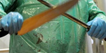 Le grand mensonge du halal prétendu « dérogatoire »