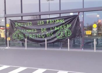 Colère des éleveurs : descente de Coordination Rurale chez le grossiste METRO