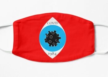 Confinement : enfin un sursaut français ?