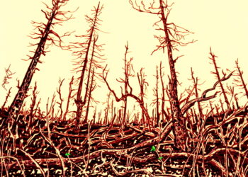 Incendie vaccinal – ProjetKO