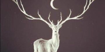 Jura : sur les traces de « Vincent », le plus majestueux cerf d’Europe