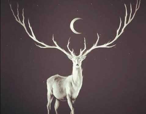 Jura : sur les traces de « Vincent », le plus majestueux cerf d’Europe