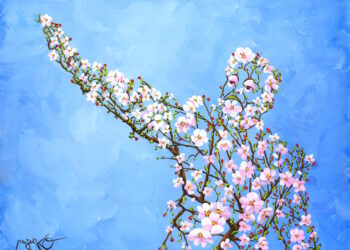 21 mars : le printemps !