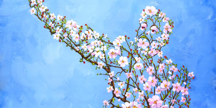 21 mars : le printemps !