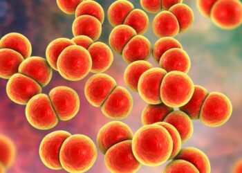 Un virus peut en cacher un autre : vague mondiale de « chaude pisse »