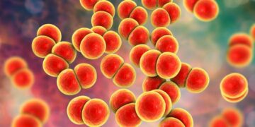 Un virus peut en cacher un autre : vague mondiale de « chaude pisse »