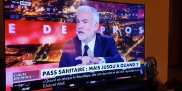 Vaccins anti-Covid : appel à témoins sur les effets indésirables sur CNEWS