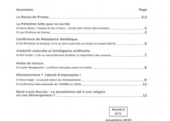 Crédulité naturelle et intelligence artificielle – Courrier du Continent