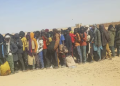 L’Algérie face à l’immigration : un réveil national qui rejoint la lutte des peuples européens
