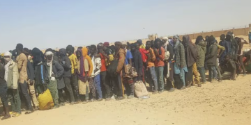 L’Algérie face à l’immigration : un réveil national qui rejoint la lutte des peuples européens