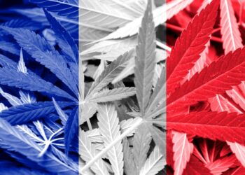Légalisation du cannabis : le dernier moyen pour achever d&rsquo;amollir le peuple