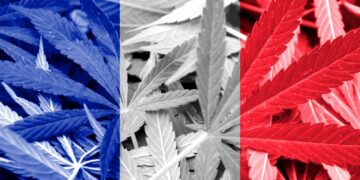 Légalisation du cannabis : le dernier moyen pour achever d’amollir le peuple