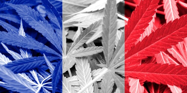 Légalisation du cannabis : le dernier moyen pour achever d’amollir le peuple