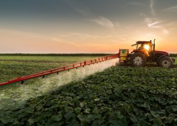 Loi Duplomb : poison législatif au service de l’agro-industrie