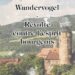 Nouveauté : Wandervogel Contre l’esprit bourgeois – Karl Höffkes