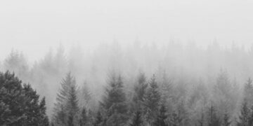 Réédition : Mémoires d’un fasciste (1941 – 1947) – Lucien Rebatet