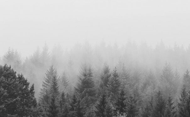 Réédition : Mémoires d’un fasciste (1941 – 1947) – Lucien Rebatet