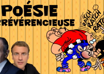 Petite fable : La féministe, les gauchistes et les élections