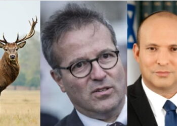 Le cerf, Martin Hirsch et Naftali Bennett