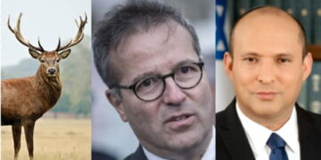 Le cerf, Martin Hirsch et Naftali Bennett