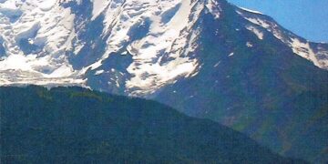 Note de lecture : Nos actes nous suivent – Myron Kok