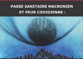 Periodique – Nouveauté : Macron concentre à lui seul l’identification au système – MILITANT