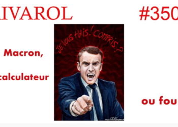 Macron, calculateur ou fou ?