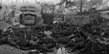 J&rsquo;ai vu brûler Tokyo