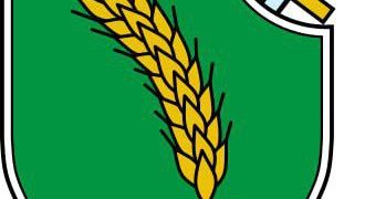 Milan Nedić (1878-1946) : nationaliste, soldat et homme d’État serbe