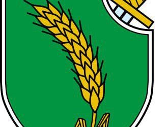 Milan Nedić (1878-1946) : nationaliste, soldat et homme d’État serbe