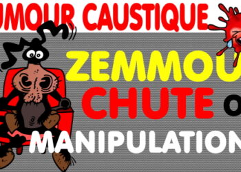 ZEMMOUR : Dégringolade ou grosse manip ? + Mckinsey et autres broutilles
