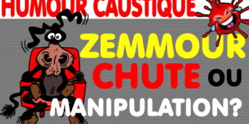ZEMMOUR : Dégringolade ou grosse manip ? + Mckinsey et autres broutilles