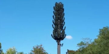 Antennes Sapin en plastique : une catastrophe écologique