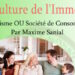 La Culture de l’Immédiat : Militantisme ou Société de consommation