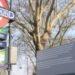 1943, catastrophe du métro de Londres : des pickpockets juifs mis en cause par un haut diplomate britannique