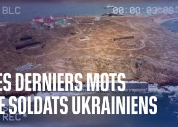 « L’Île des serpents », histoire d’une désinformation reprise en boucle par les médiats serviles