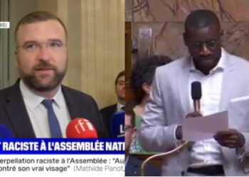 Remigration : « Qu’il retourne en Afrique ! »