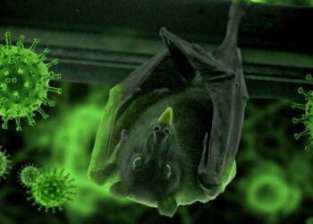 Biodiversité et maladies