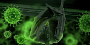 Biodiversité et maladies