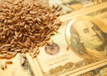 Qui possède les terres à blé ukrainiennes : Cargill, Dupont, Monsanto. Et derrière : Vanguard, Blackrock, Blackstone