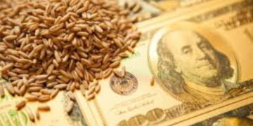 Qui possède les terres à blé ukrainiennes : Cargill, Dupont, Monsanto. Et derrière : Vanguard, Blackrock, Blackstone